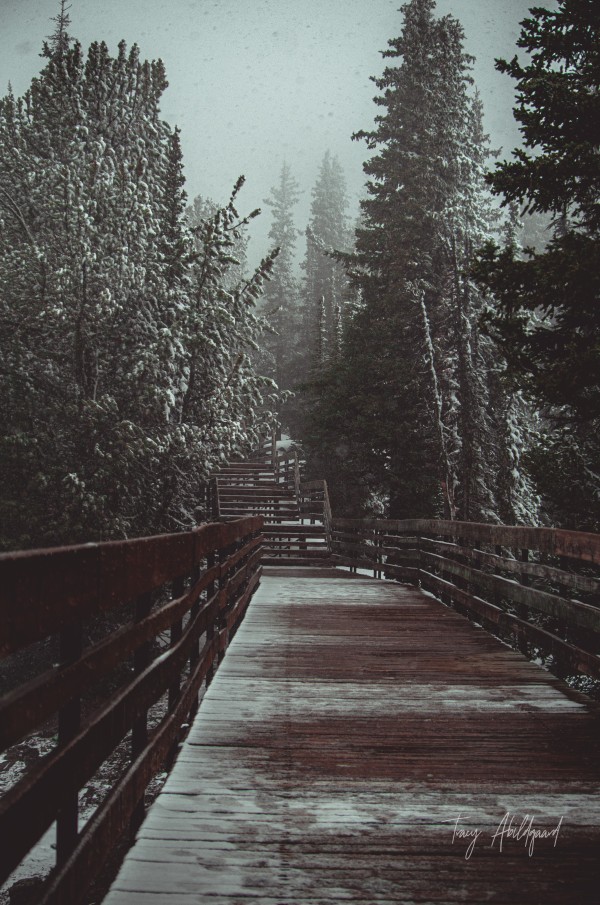 Snow on Sulfur Path Hi Res   A3 by Tracy Abildgaard